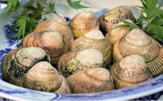 【ふるさと納税】丹後とり貝6枚入り　ふみやオリジナル酢味噌付き　魚貝類 魚 とり貝 産地直送 丹後 料亭 みそ 味噌 お酢 酢味噌 日本酒 肴 珍味 ご飯のお供  日本酒 お取り寄せ グルメ 食品 食べ物 おつまみ 食材 贈り物 プレゼント ギフト 家庭用 自宅用 送料無料[№5716-0286]