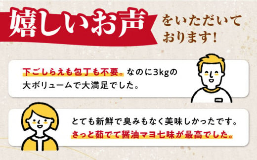 【全3回定期便】剣先いか の耳 3kg 《対馬市》【一般社団法人 対馬地域商社】 シロイカ 新鮮 肉厚 海鮮 BBQ 天ぷら 魚介 おかず いか [WAC047]