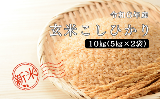 150253【令和6年産】しまね川本 玄米こしひかり 10kg(5kg×2)