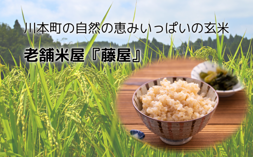 空気は澄んでいて水もきれい。中山間地域なので、季節の寒暖差でお米がおいしく育ちます。