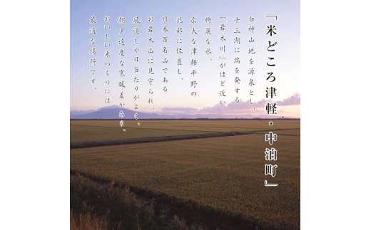 津軽産米 「まっしぐら」 10kg（精米 5kg×2袋） 《定期便》【5ヶ月連続】  【ケイホットライス】 白米 精米 米 お米 おこめ コメ  中泊町 青森 F6N-204