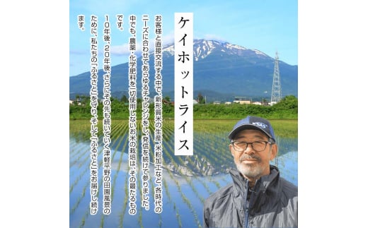 津軽産米 「まっしぐら」 10kg（精米 5kg×2袋） 《定期便》【5ヶ月連続】  【ケイホットライス】 白米 精米 米 お米 おこめ コメ  中泊町 青森 F6N-204