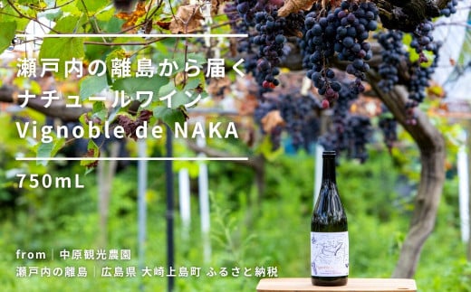 瀬戸内の離島から届くナチュールワイン 750mL【Vignoble de NAKA 2023 rouge MBA】