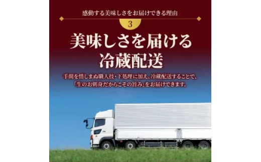 【冷蔵】【日向灘どれ】延岡産活〆ブリのお刺身400g～550g N019-YZA044