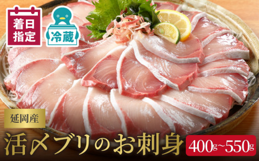 【冷蔵】【日向灘どれ】延岡産活〆ブリのお刺身400g～550g N019-YZA044