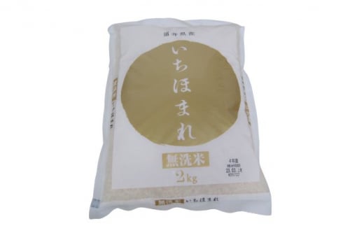 無洗米　いちほまれ2kg（令和6年産）福井の新ブランド米[№5580-0721]