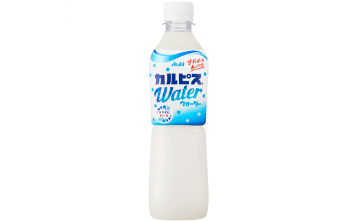 【定期便】カルピスウォーター（500mL×24本）〔12回配送〕156-001