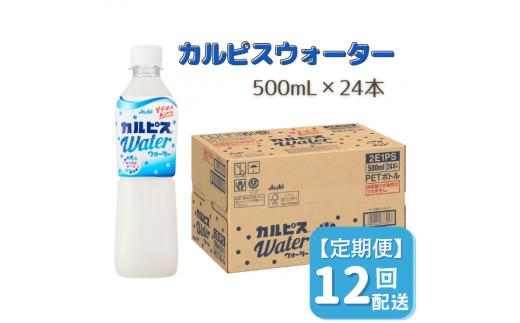 【定期便】カルピスウォーター（500mL×24本）〔12回配送〕156-001