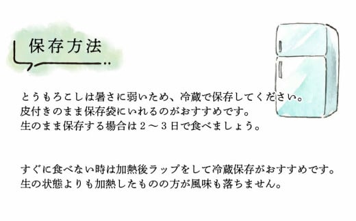 農家直送！ SDGs米糠堆肥で作った ベビーコーン 50本 品種 おおもの