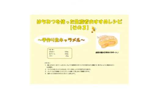 ＜100%アカシア蜜＞アカシア蜂蜜 500g×2本セット【1494372】