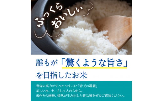 【定期便隔月3回】青天の霹靂 5kg（精米）【特A 8年連続取得】