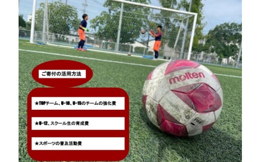 CI746【みやきなでしこ】応援米【５回定期便】さがびより白米５kg 佐賀県産 女子サッカー応援