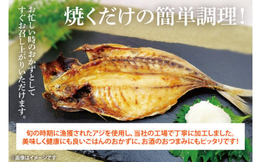 あじ開き10枚入 6袋【鮮魚 アジ 鰺 干物 ご飯のお供】(CH104)