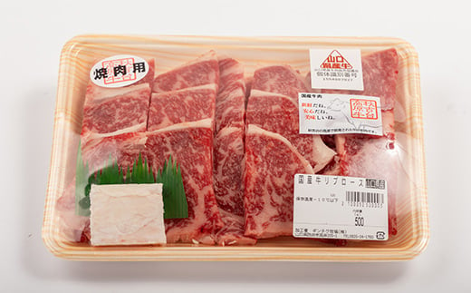 山口県産　秋吉台高原牛リブロース焼肉500g_ 牛肉 肉 和牛 リブロース 国産 焼肉 ビーフ 山口県 高原牛 秋吉台 交雑種 黒毛和種 無角和種 和牛間交雑種 冷凍 グルメ 贈答 ギフト 500g 産地直送 牛脂付 【1444666】