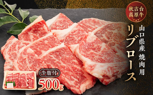 山口県産　秋吉台高原牛リブロース焼肉500g_ 牛肉 肉 和牛 リブロース 国産 焼肉 ビーフ 山口県 高原牛 秋吉台 交雑種 黒毛和種 無角和種 和牛間交雑種 冷凍 グルメ 贈答 ギフト 500g 産地直送 牛脂付 【1444666】