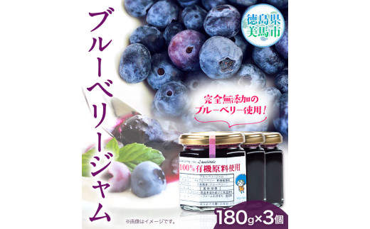 無添加 手作り ブルーベリージャム（180g×3個） 《30日以内に出荷予定(土日祝除く)》ベリーベリーファームわきまち 徳島県 美馬市 ブルーベリー ジャム 果物 フルーツ 青果物