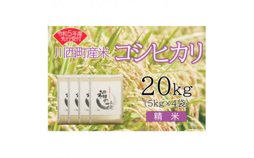 令和5年産　コシヒカリ20kg　精米　真空パック詰【1121443】