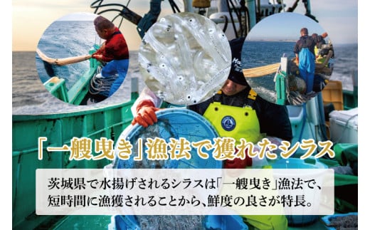 鹿島灘 釜揚げしらす「常陸乃国しらす」(2箱) 360g×2箱 合計720g【新鮮 新ブランド 最高級品 塩分控えめ おかず カルシウム ビタミンD 冷凍 茨城県 鹿嶋市】（KB-5）