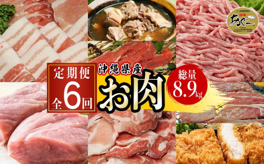 【ふるさと納税】沖縄県産お肉の定期便（全6回）