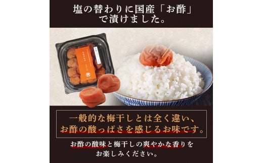 塩ぬき屋 ゼロ梅 (甘酸っぱい味) 200g ×2パック食塩不使用 A-238