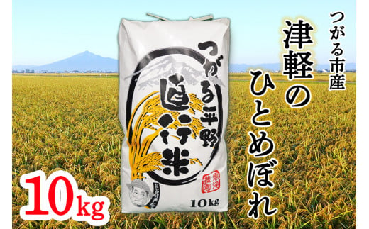 令和6年産 新米 つがる市産「津軽のひとめぼれ」10kg｜2024年産 青森県 津軽 お米 白米 ひとめぼれ [0723]