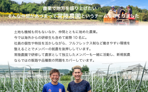 【先行受付 令和6年産】《12月中旬以降発送》 平干し 1.5kg（250グラム×6袋）| 茨城県 常陸太田市 国産 干し芋 芋 べにはるか  ほし芋 さつまいも  スイーツ 干し芋 お菓子  甘い ほしいも 食物繊維 干し芋 人気 干し芋 お取り寄せ おやつ 和菓子 自然食品 ヘルシー 安全 子供のおやつ 家庭用 オーガニック 平干し 自宅用 1500g