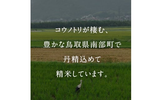 【EL08】＜新米・令和6年産＞ 真空パック包装 鳥取県産コシヒカリ20kg (5kg×4袋) 　令和6年産、米、お米、真空、Elevation、備蓄、長期保存、備蓄米、真空、真空包装、白米、精米、鳥取県南部町