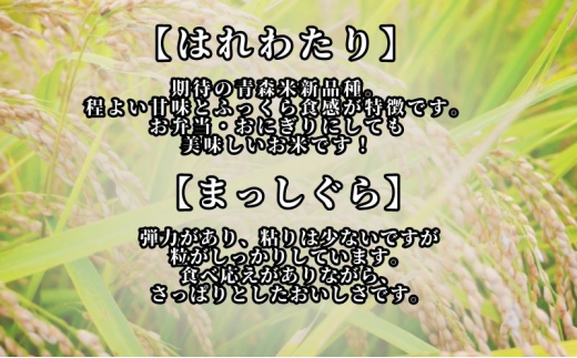 米 令和6年産 玄米 まっしぐら はれわたり 食べ比べセット 10kg (5kg×2袋) 米 こめ お米 おこめ コメ ご飯 ごはん 食べ比べ セット 詰め合わせ 令和6年 山下農園 青森 青森県