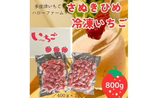 多度津いちごハローファーム　さぬきひめ　冷凍いちご　800g【L-46】