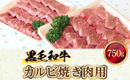 くまもと球磨産　黒毛和牛(カルビ焼き肉用　750g)