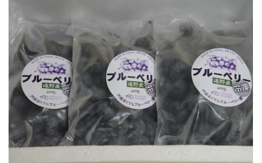 大粒 冷凍 ブルーベリー 1.2kg （400ｇパック3個入り） 門前おくでらブルーベリー園 岩手県 遠野市 産