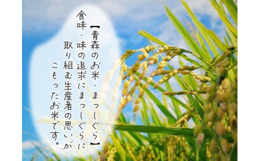 新米 定期便 3ヶ月 令和6年産 まっしぐら 無洗米 10kg (5kg×2袋) 米 白米 こめ お米 おこめ コメ ご飯 ごはん 令和6年 H.GREENWORK 3回 お楽しみ 青森 青森県