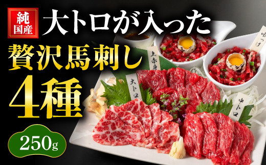 国産 熊本 馬刺し 霜降り大トロが入った贅沢馬刺し4種セット
