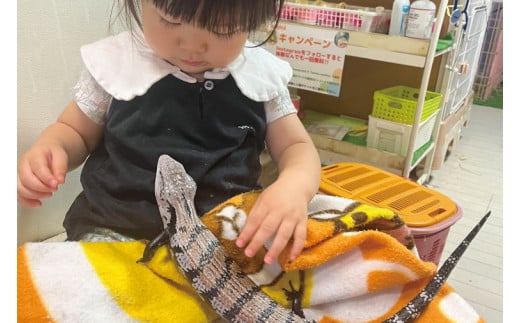 ふれあい動物園ANIMA 年間パス【動物 どうぶつ 動物園 チケット 年間パスポート 阿見町 茨城県】（61-01） 