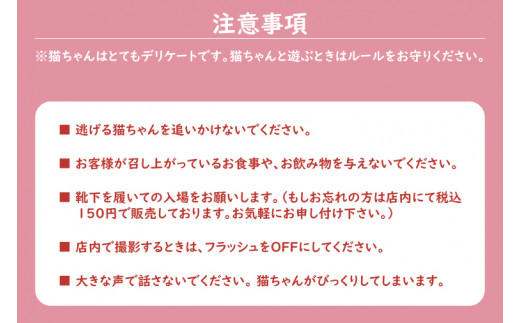 鹿嶋市の癒しの空間　猫カフェでまったり　猫かふぇジュエリー　１時間利用券セット　２名様 （KCS-2）