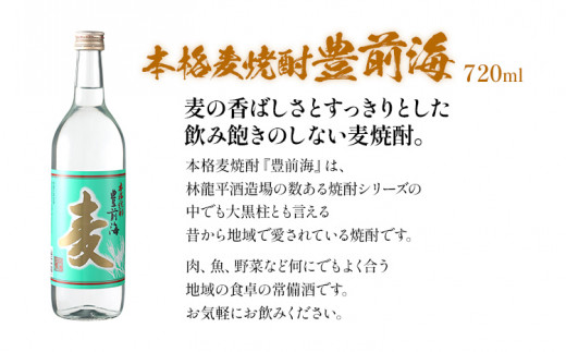 清酒 豊楠（ほうくす） 純米吟醸 & 麦焼酎 豊前海 720ml 四合瓶 日本酒 福岡 地酒 林龍平酒造場 清酒 お酒 晩酌 酒造 年末年始 お取り寄せ