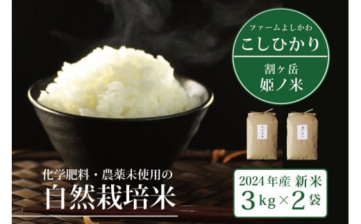 信濃町産コシヒカリ「割ケ岳 姫乃米6kg（3kg×2）」令和6年度の新米 ｜ 農薬未使用の自然米 【2024年11月以降発送】長野県信濃町ふるさと納税