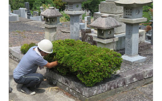 1642 お墓清掃代行サービス【鳥取市営墓地限定】