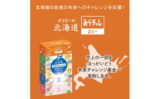 2回お届け 計100箱 エリエール 北海道 ティシュー なまらたっぷり 300組5箱 10パック 大容量 まとめ買い 防災 常備品 備蓄品 消耗品 日用品 生活必需品 送料無料 赤平市