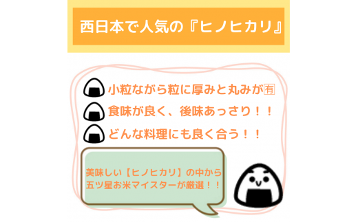 CI705【１２回定期便】西日本で人気のお米！ヒノヒカリ白米５ｋｇ【五つ星お米マイスター厳選！】