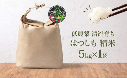 [№5308-0440]令和6年産 低農薬 清流育ち はつしも 精米 5kg×1袋 新米 お米 精白米 白米 米 ごはん 米 ご飯 ハツシモ あっさり ふっくら ブランド米 大粒 幻の米 お取り寄せ 自家用 贈答用 贈り物 御礼 産地直送 送料無料 美濃グリーン 岐阜県 美濃市