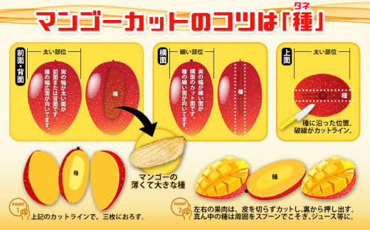 ＜2025年発送＞優良賞受賞　沖縄県産　完熟マンゴー　2kg以上　秀品 産地直送 先行予約 贈答用 贈り物 ギフト 優良賞 受賞 フルーツ 果物 くだもの 完熟マンゴー アップルマンゴー アップル アーウィン種 おすすめ お取り寄せ 冷蔵 国産 沖縄 沖縄県産