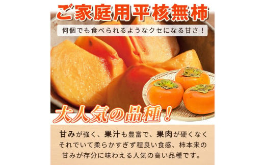 【ご家庭用】平核無柿（ひらたねなしがき）約３.５kg 和歌山秋の味覚【2025年発送】【UT31】