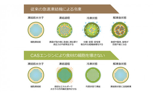 【 CAS冷凍 】つくば 山麓 冷凍 いなり 寿司 50個（ 10個 × 5パック ） 稲荷 コシヒカリ すし 寿司 シャリ 最新 冷凍 おすそわけ ギフト