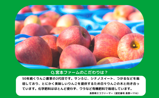 りんご サンふじ 訳あり 10kg 令和6年度収穫分 沖縄県への配送不可 2024年12月上旬頃から2024年12月下旬頃まで順次発送予定 宮本ファーム エコファーマー 減農薬栽培 長野県 飯綱町 [1492]