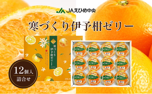 カップゼリー寒づくり伊予柑詰め合わせ12個セット No.18【柑橘 ゼリー 果肉 果実 果汁 果物 フルーツ 国産 愛媛県産 スイーツ おやつ ギフト お中元】[№5310-0236]