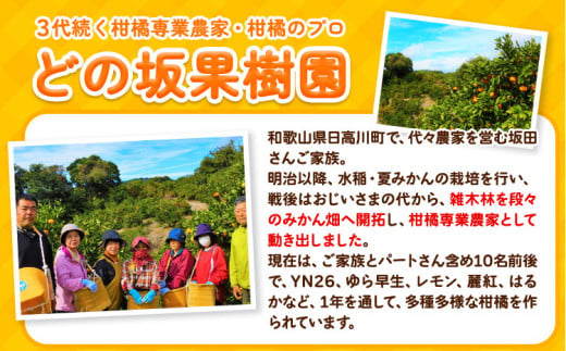 不知火 ( デコポン と同品種 ) しらぬい 約 5kg (L～5Lサイズ) どの坂果樹園《2月中旬-4月上旬頃出荷》 和歌山県 日高川町 しらぬい 不知火 デコポン でこぽん 旬 果物 フルーツ くだもの 和歌山 しらぬい 柑橘 産地直送 送料無料