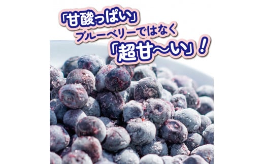 冷凍 ブルーベリー 約2kg フルーツ 国産 果物 大粒 甘い 糖度 ジャム ジュース ケーキ ゼリー スムージー ヨーグルト 洋菓子 お菓子 焼菓子 おやつ デザート スイーツ ポリフェノール アントシアニン 美容 健康 ギフト 贈答 プレゼント お取り寄せ グルメ 送料無料 徳島県 阿波市 AWAブルーベリーファーム