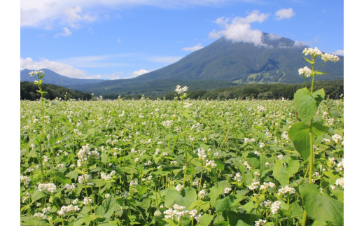 霧が発生しやすい黒姫山の麓で作られるそばは「霧下そば」とも呼ばれ最高級そば粉とも呼ばれています。ぜひご自宅でお楽しみください。