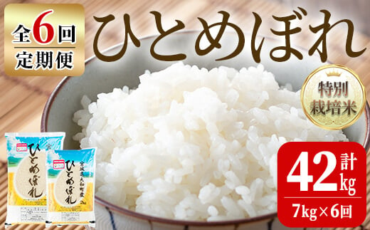 【令和6年産】＜6か月定期便＞特別栽培米 ひとめぼれ 7kg×6回(合計42kg) お米 おこめ 米 コメ 白米 ご飯 ごはん おにぎり お弁当 頒布会【農事組合法人若木の里】ta249